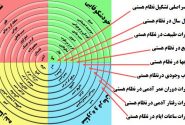 سبک و روش زندگی استاندارد(قسمت دوم)