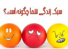 ویژگیها و محورهای سبک و روش زندگی استاندارد