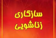 مقیاس سازگاری